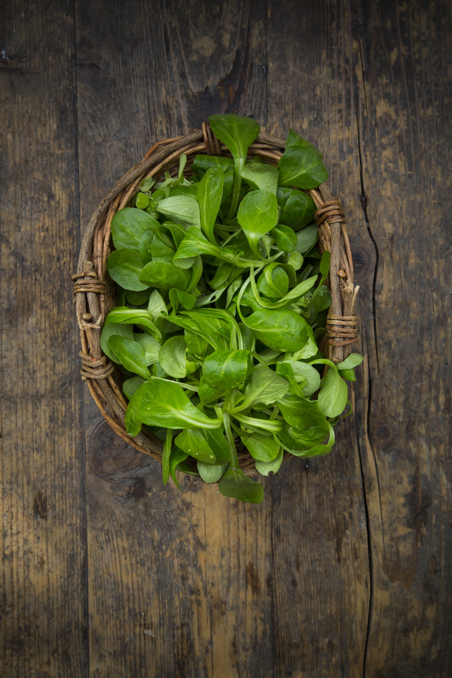 Mâche - Quels fruits et légumes de saison en février ? - Elle à Table