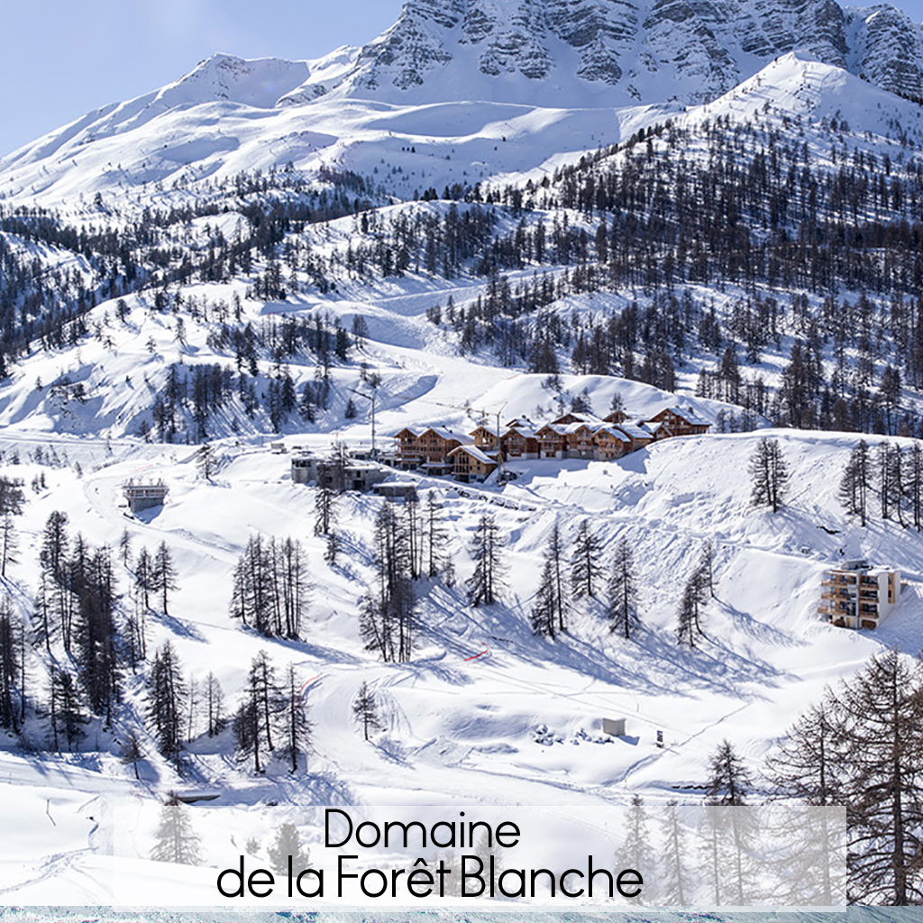 Domaine de la Forêt Blanche - Quels sont les plus beaux ...